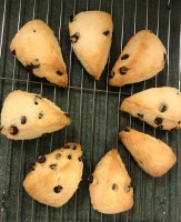 privatevarmobileContainersDataApplicationC9109050-7C8A-4176-94A9-F616EEA7F680tmp43FFC42A-6F0D-43F4-9A78-99E92F36D140Image